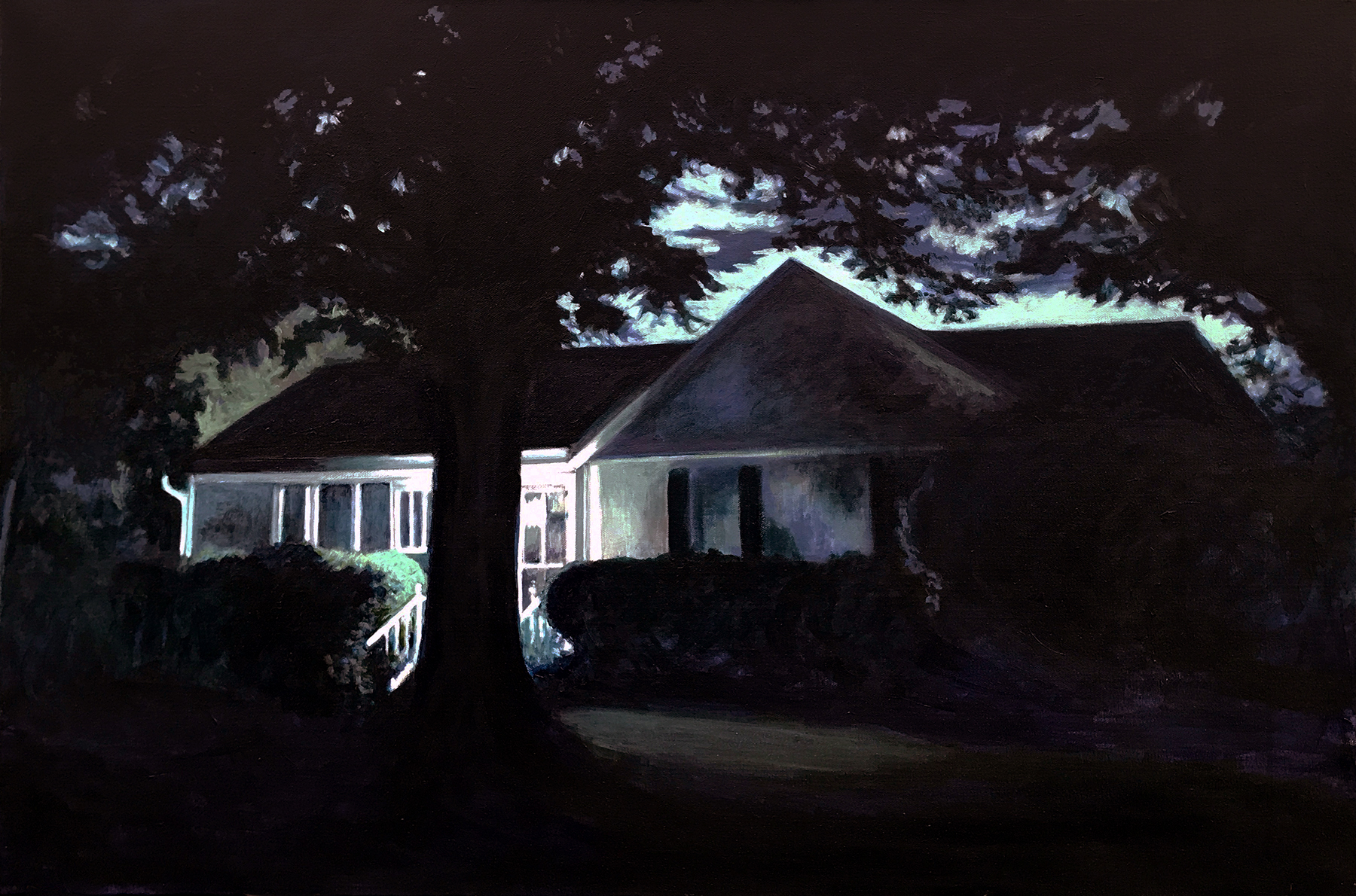 Suburban Nightscape - What Are You Hiding